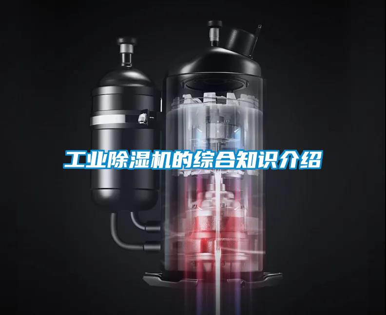 工業(yè)除濕機(jī)的綜合知識介紹