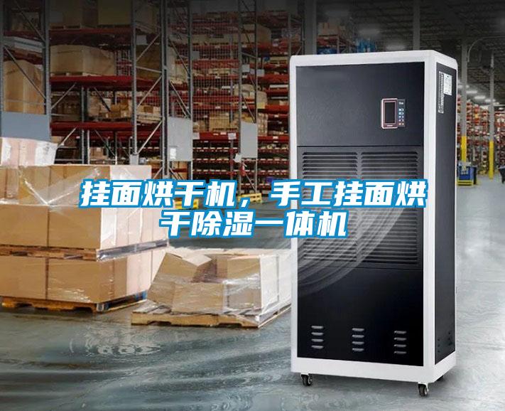 掛面烘干機(jī)，手工掛面烘干除濕一體機(jī)
