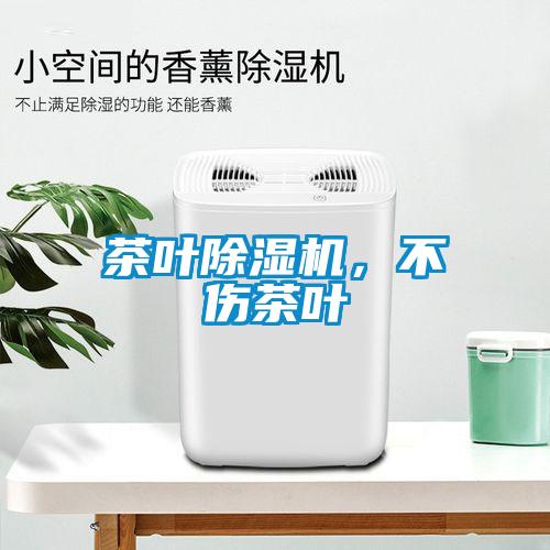 茶葉除濕機，不傷茶葉