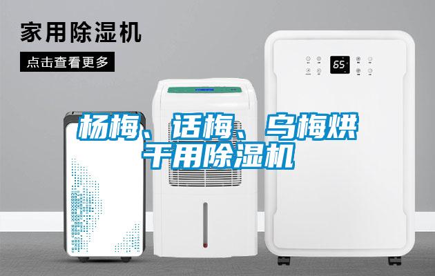 楊梅、話梅、烏梅烘干用除濕機(jī)