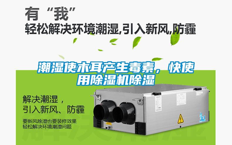 潮濕使木耳產(chǎn)生毒素，快使用除濕機除濕