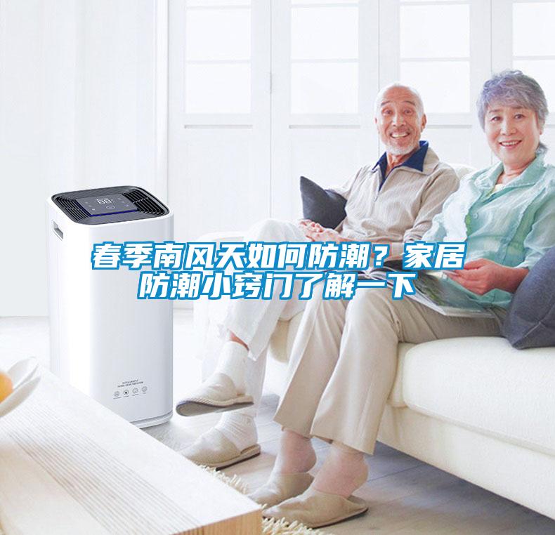 春季南風天如何防潮?家居防潮小竅門了解一下