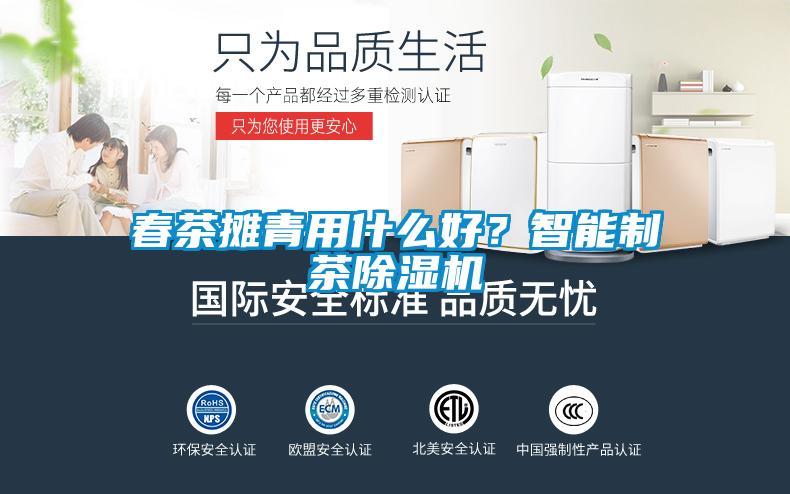 春茶攤青用什么好?智能制茶除濕機