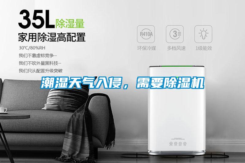 潮濕天氣入侵，需要除濕機