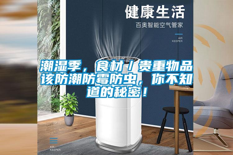 潮濕季,食材/貴重物品該防潮防霉防蟲,你不知道的秘密!