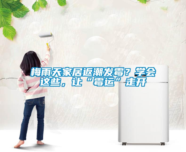 梅雨天家居返潮發霉？學會這些，讓“霉運”走開