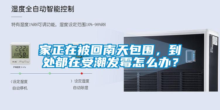 家正在被回南天包圍，到處都在受潮發(fā)霉怎么辦？