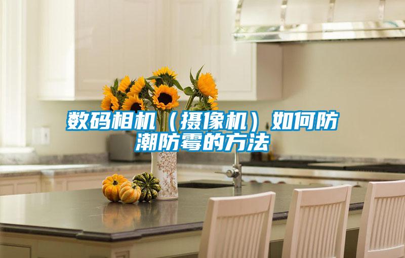數(shù)碼相機(攝像機)如何防潮防霉的方法