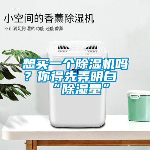 想買一個除濕機嗎？你得先弄明白“除濕量”