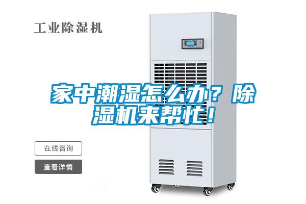 家中潮濕怎么辦？除濕機來幫忙！