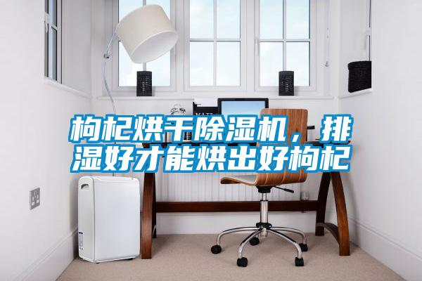 枸杞烘干除濕機,排濕好才能烘出好枸杞
