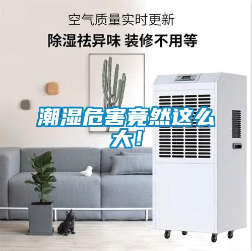 潮濕危害竟然這么大！