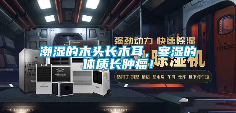潮濕的木頭長木耳,寒濕的體質長腫瘤!