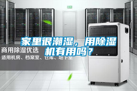家里很潮濕，用除濕機有用嗎？