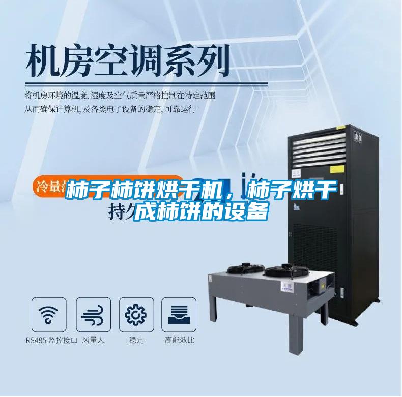柿子柿餅烘干機，柿子烘干成柿餅的設備