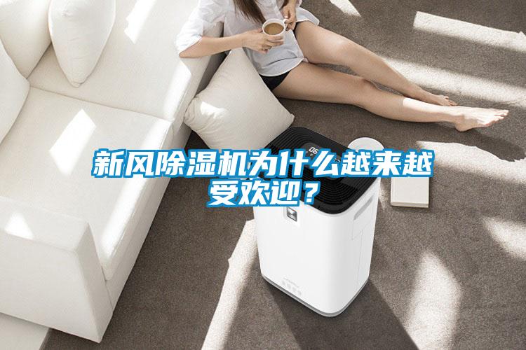 新風除濕機為什么越來越受歡迎?