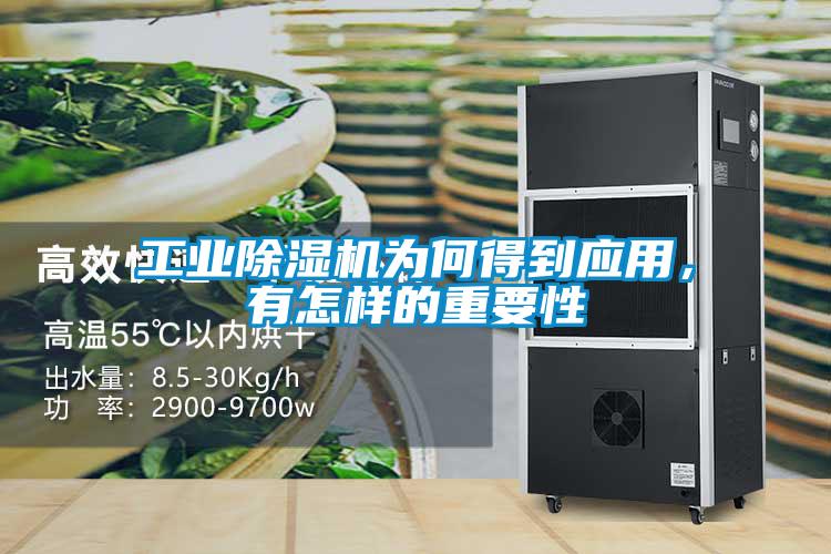 工業除濕機為何得到應用,有怎樣的重要性
