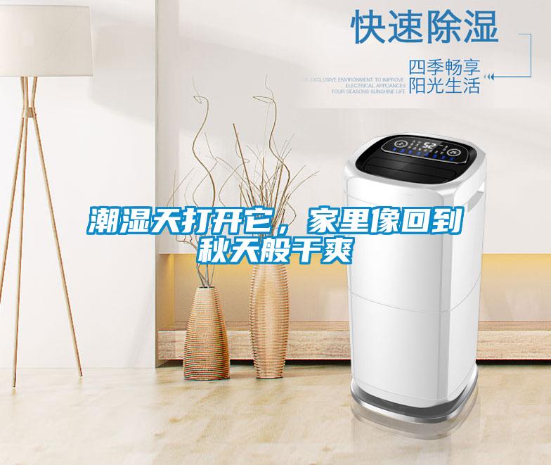 潮濕天打開它,家里像回到秋天般干爽