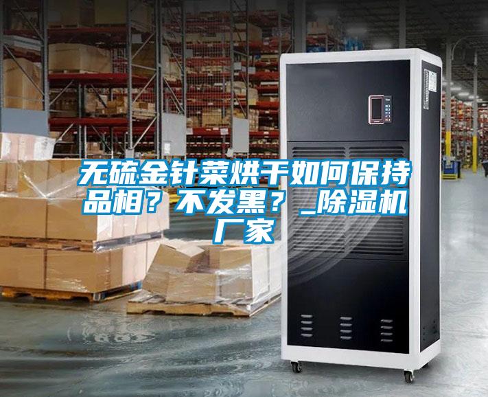 無硫金針菜烘干如何保持品相?不發黑?_除濕機廠家