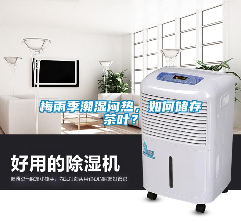 梅雨季潮濕悶熱，如何儲存茶葉？