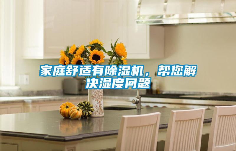 家庭舒適有除濕機，幫您解決濕度問題