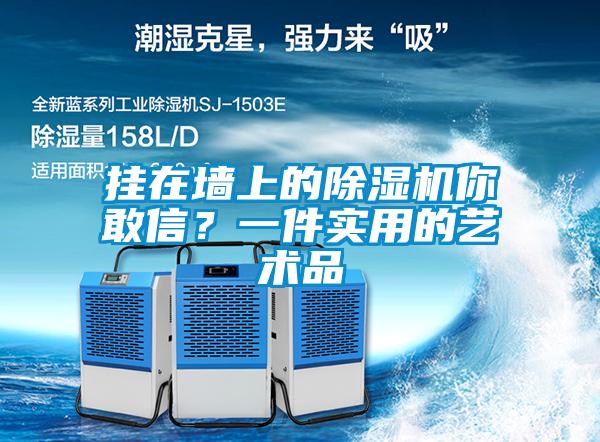 掛在墻上的除濕機你敢信？一件實用的藝術(shù)品