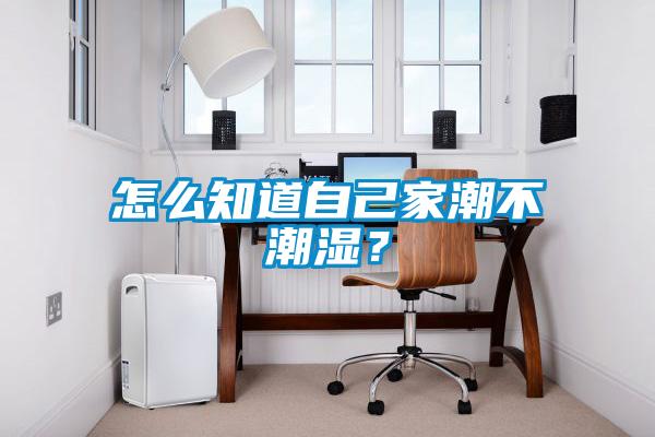 怎么知道自己家潮不潮濕？