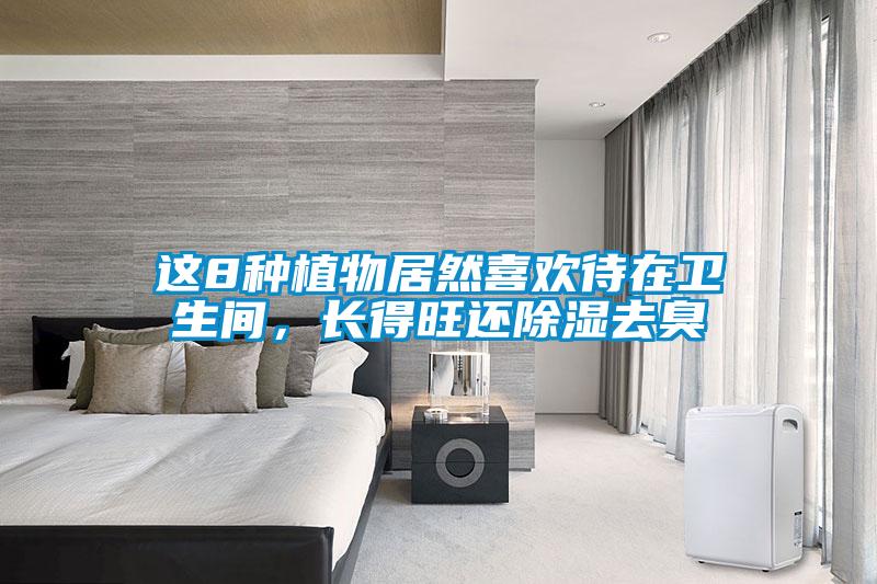 這8種植物居然喜歡待在衛生間，長得旺還除濕去臭