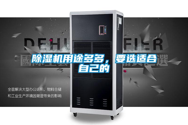 除濕機用途多多，要選適合自己的