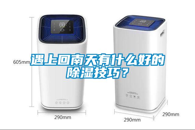 遇上回南天有什么好的除濕技巧？