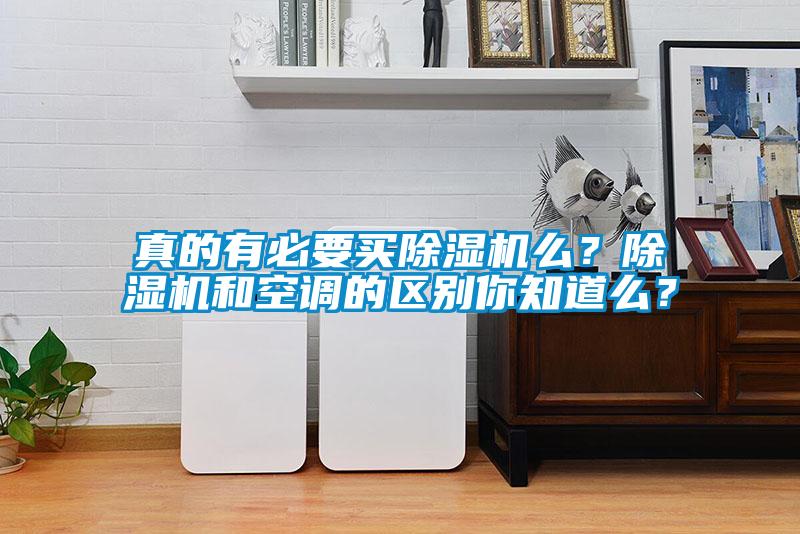 真的有必要買除濕機么？除濕機和空調的區別你知道么？