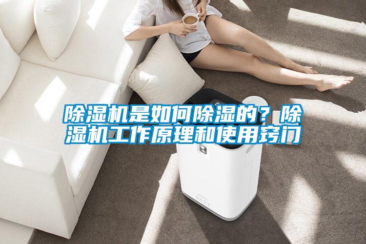 除濕機是如何除濕的？除濕機工作原理和使用竅門