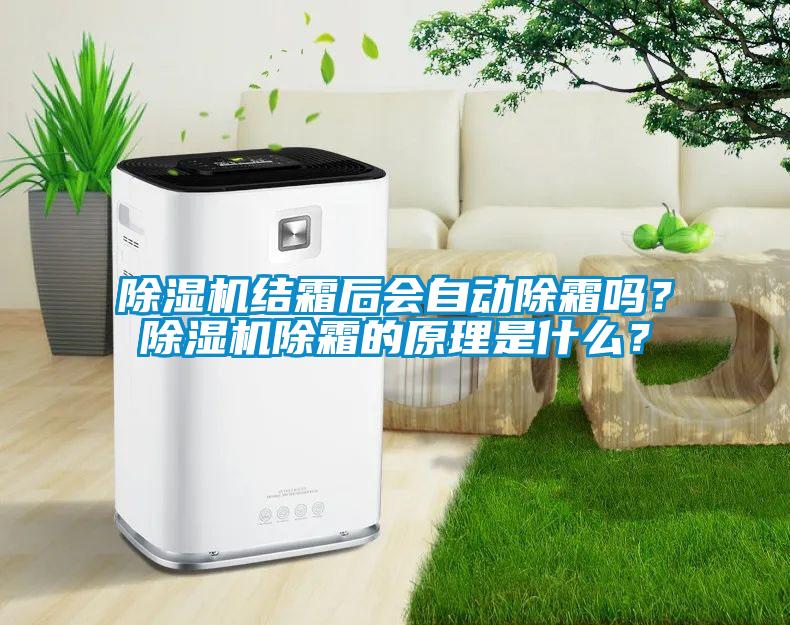 除濕機(jī)結(jié)霜后會自動除霜嗎？除濕機(jī)除霜的原理是什么？