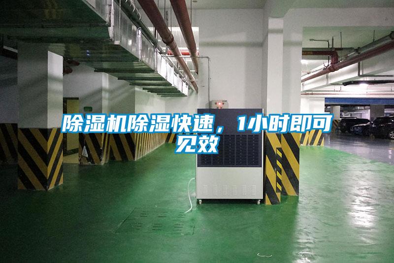 除濕機除濕快速，1小時即可見效