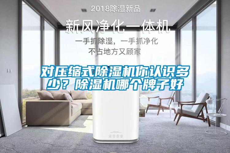 對壓縮式除濕機(jī)你認(rèn)識多少?除濕機(jī)哪個牌子好
