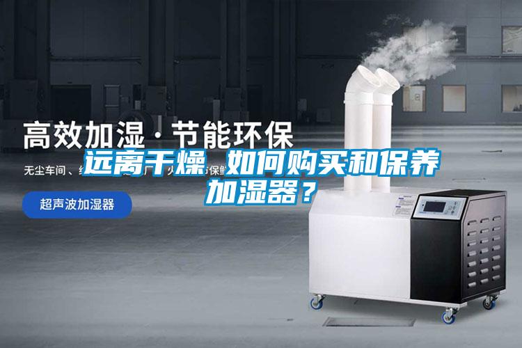 遠離干燥 如何購買和保養加濕器？