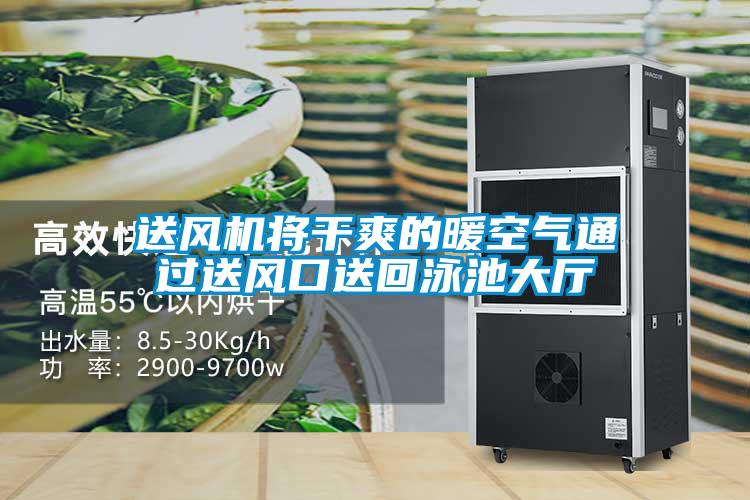 送風(fēng)機(jī)將干爽的暖空氣通過(guò)送風(fēng)口送回泳池大廳