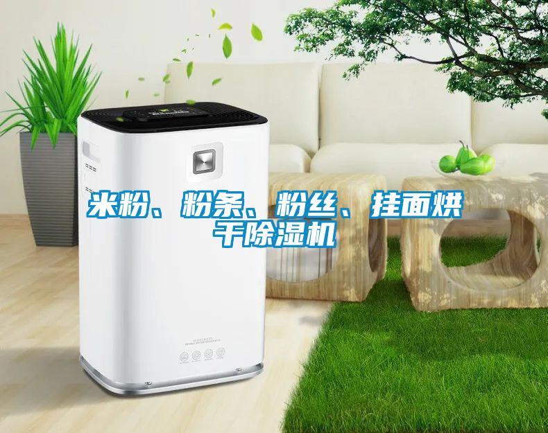 米粉、粉條、粉絲、掛面烘干除濕機(jī)
