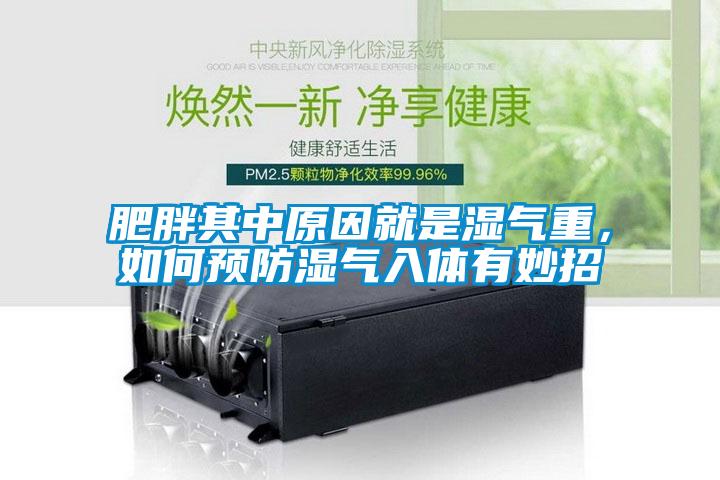 肥胖其中原因就是濕氣重，如何預防濕氣入體有妙招