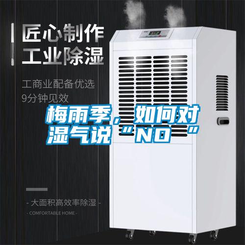 梅雨季，如何對濕氣說“NO ”