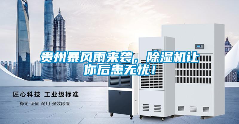 貴州暴風雨來襲，除濕機讓你后患無憂！