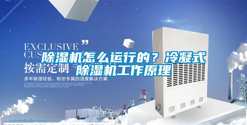 除濕機(jī)怎么運(yùn)行的?冷凝式除濕機(jī)工作原理