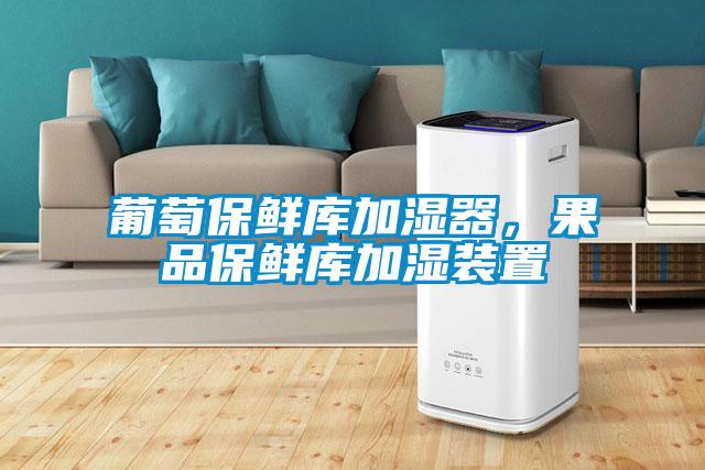 葡萄保鮮庫加濕器，果品保鮮庫加濕裝置