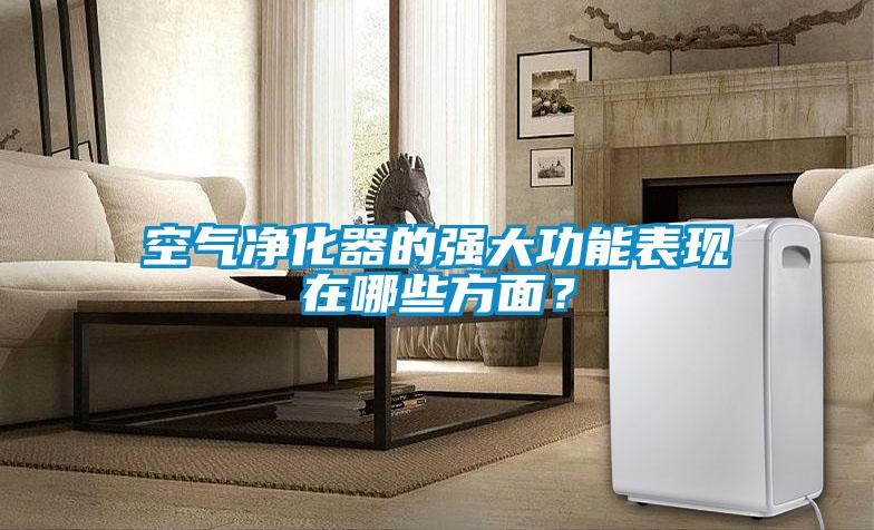 空氣凈化器的強大功能表現在哪些方面？