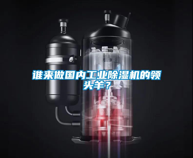 誰(shuí)來(lái)做國(guó)內(nèi)工業(yè)除濕機(jī)的領(lǐng)頭羊？