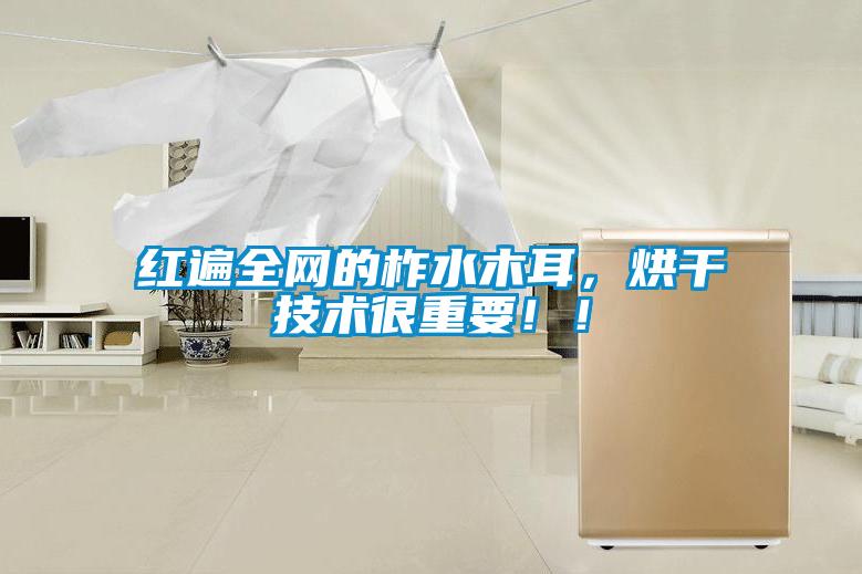 紅遍全網(wǎng)的柞水木耳，烘干技術(shù)很重要??！