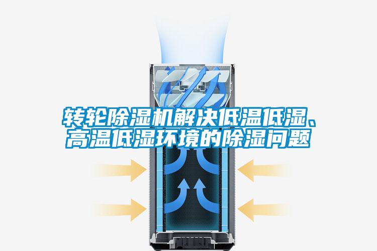 轉輪除濕機解決低溫低濕、高溫低濕環境的除濕問題