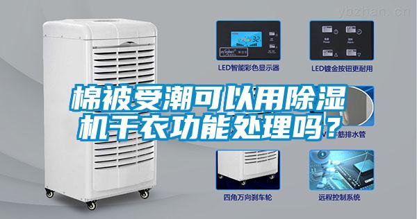 棉被受潮可以用除濕機干衣功能處理嗎？