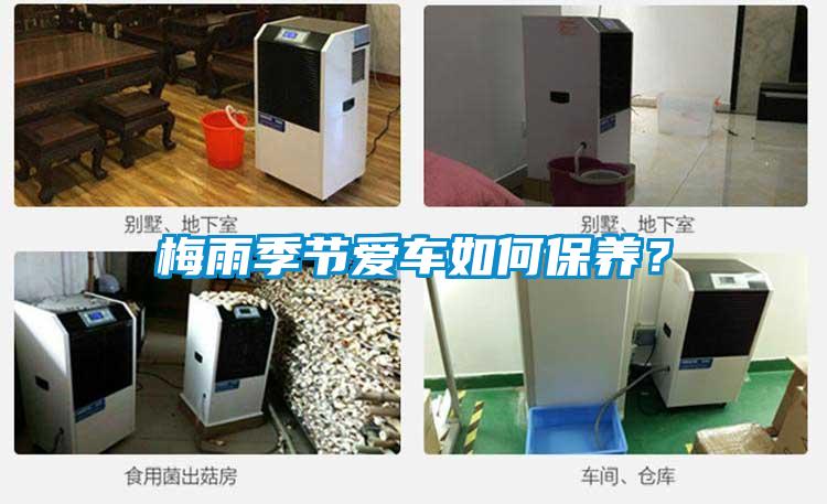 梅雨季節愛車如何保養？