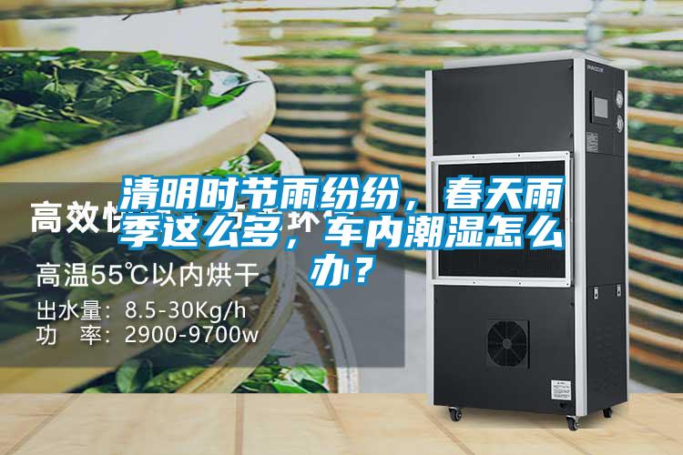 清明時節雨紛紛，春天雨季這么多，車內潮濕怎么辦？